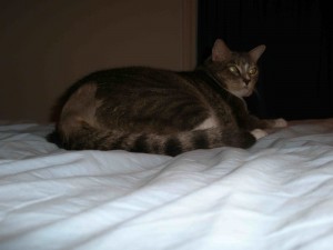 20070101_6221